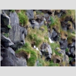 26_014  Dyrholaey.jpg